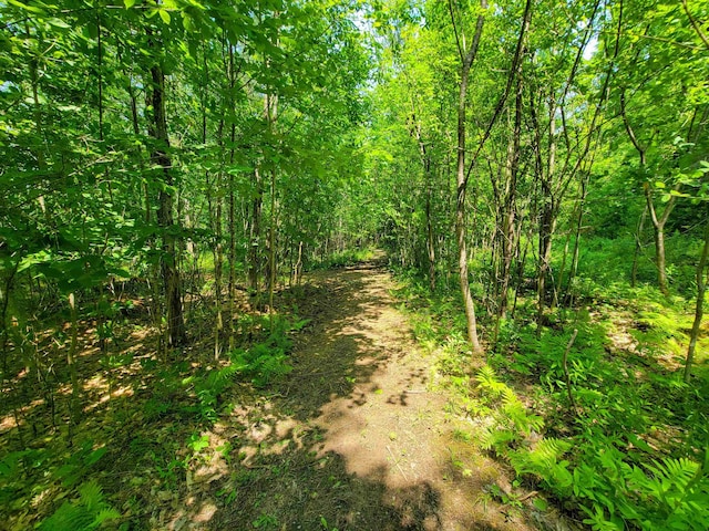 21 Nickerson Rd, Brandon, VT 05733