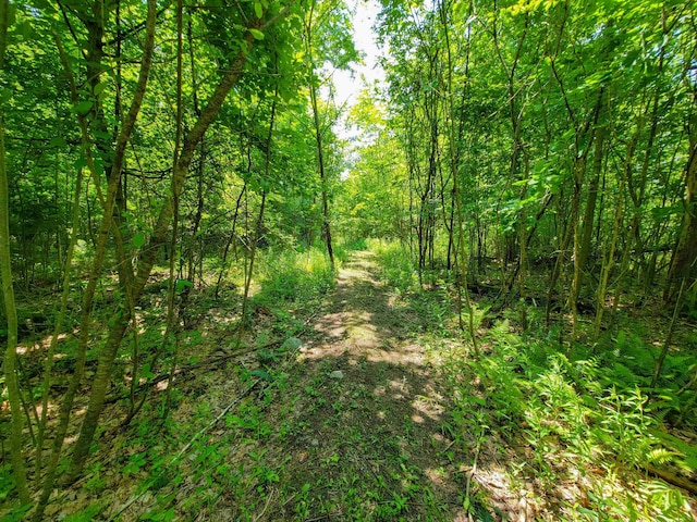 21 Nickerson Rd, Brandon, VT 05733