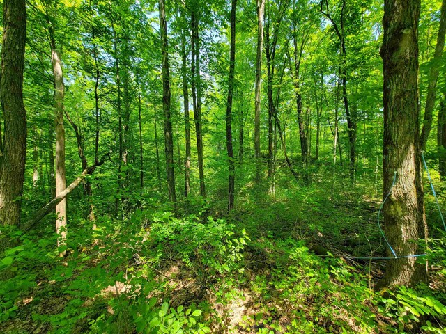 21 Nickerson Rd, Brandon, VT 05733