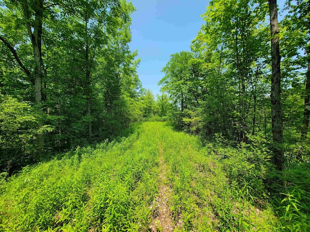 21 Nickerson Rd, Brandon, VT 05733