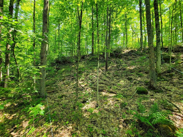 21 Nickerson Rd, Brandon, VT 05733