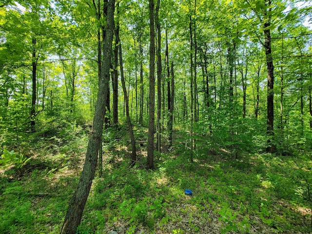 21 Nickerson Rd, Brandon, VT 05733