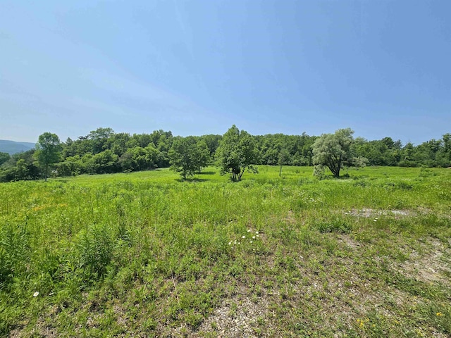 21 Nickerson Rd, Brandon, VT 05733