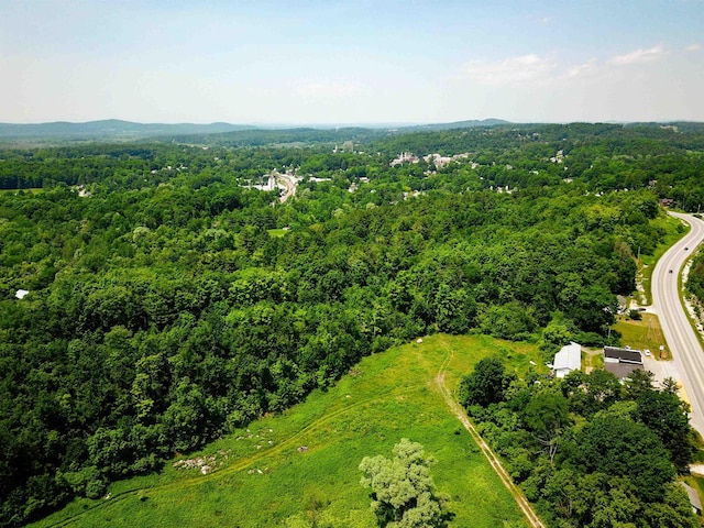 21 Nickerson Rd, Brandon, VT 05733