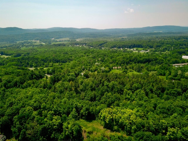21 Nickerson Rd, Brandon, VT 05733