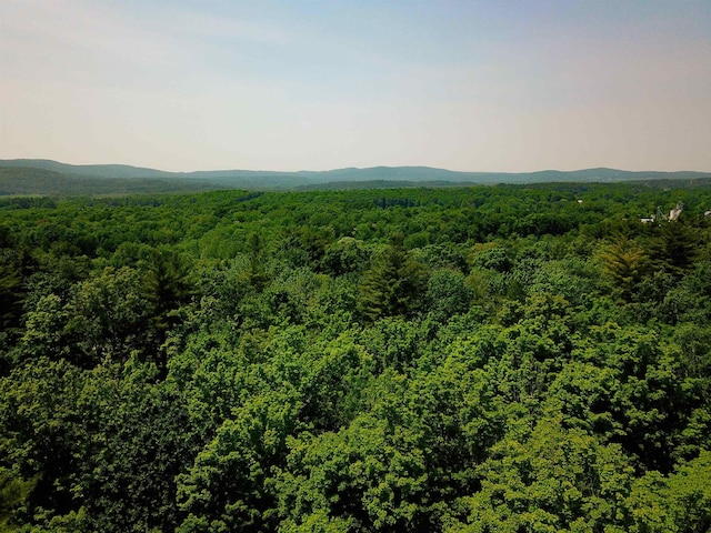 21 Nickerson Rd, Brandon, VT 05733
