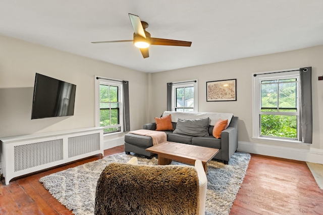 163B Locust St, Dover, NH 03820 - living room with radiator heating unit, plenty of natural light, wood finished floors, and a ceiling fan