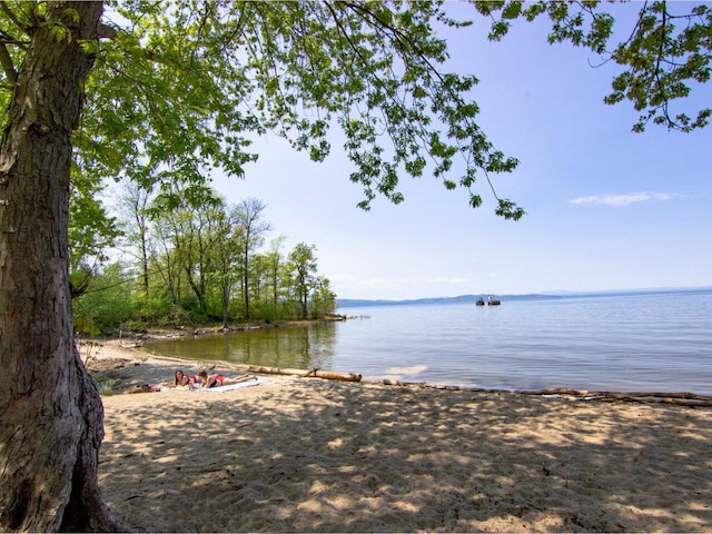 159 Loomis St, Burlington, VT 05401 - water view