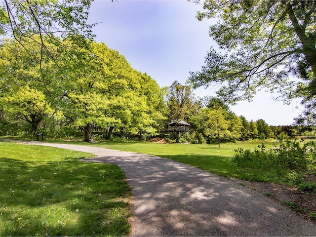 159 Loomis St, Burlington, VT 05401 - surrounding community featuring a yard