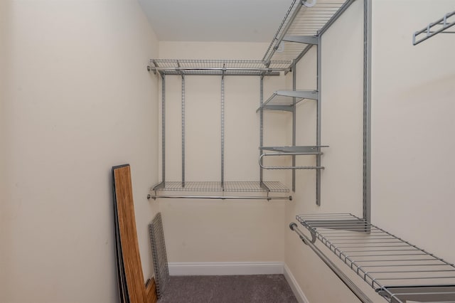20 Brenda Ln, Rochester, NH 03867 - walk in closet with carpet flooring
