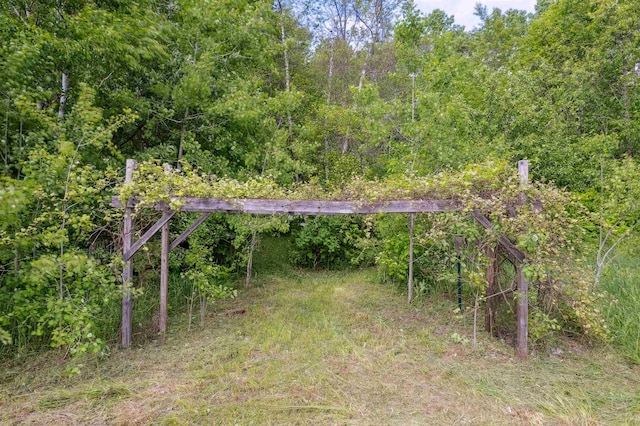 28 New Brighton Hill Rd, Tunbridge, VT 05077 - view of yard featuring a view of trees