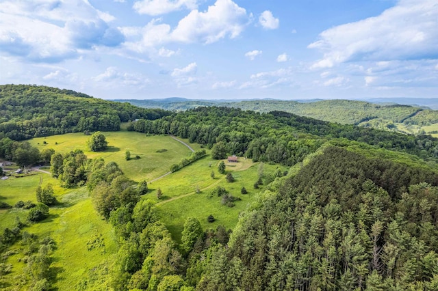28 New Brighton Hill Rd, Tunbridge, VT 05077 - drone / aerial view of a heavily wooded area and a mountain backdrop