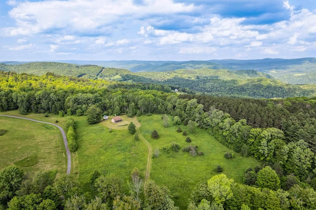 28 New Brighton Hill Rd, Tunbridge, VT 05077 - aerial view of property and surrounding area with a forest and mountains