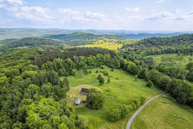28 New Brighton Hill Rd, Tunbridge, VT 05077 - view of property location with a forest and a mountainous background
