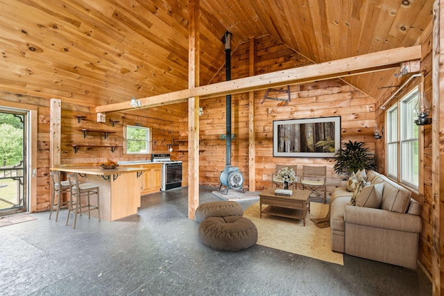 28 New Brighton Hill Rd, Tunbridge, VT 05077 - living room with vaulted ceiling, a wood stove, healthy amount of natural light, wood walls, and wooden ceiling