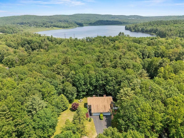 13 Judith Dr, Concord, NH 03301 - bird's eye view of a heavily wooded area and a nearby body of water