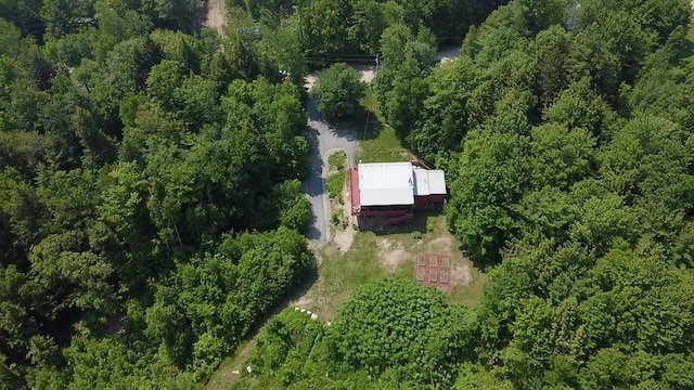 14 Mountain Ridge Rd, Ossipee, NH 03814 - aerial overview of property's location with a forest