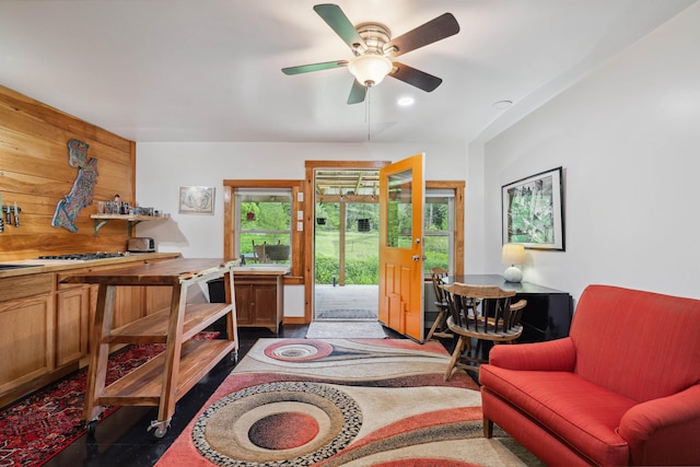103 Potash Hill Rd, Tunbridge, VT 05077 - office with healthy amount of natural light and ceiling fan