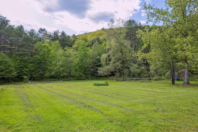 103 Potash Hill Rd, Tunbridge, VT 05077 - view of grassy yard with a view of trees