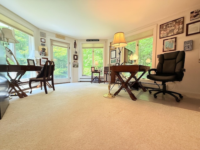 789 Hammond Hill Rd, West Windsor, VT 05089 - office with carpet floors