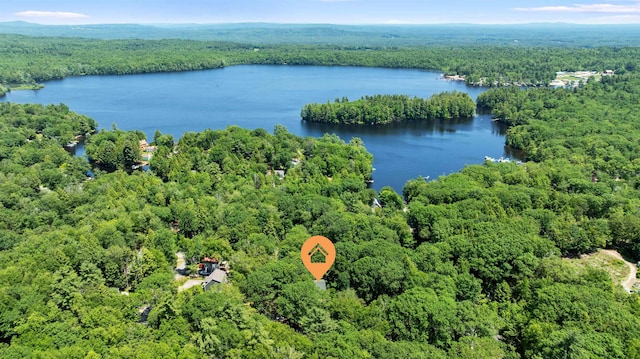 12 Cornwall Pl, Farmington, NH 03835 - drone / aerial view of a heavily wooded area and a large body of water