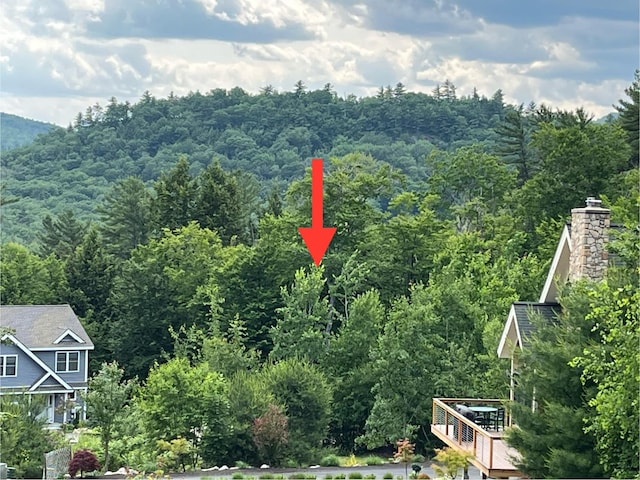 7 Beechwoods At Intervale Dr, Bartlett, NH 03812
