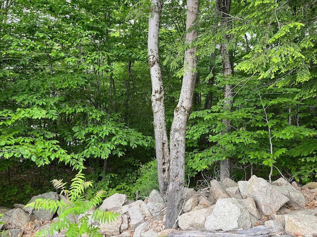 7 Beechwoods At Intervale Dr, Bartlett, NH 03812