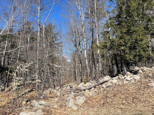 7 Beechwoods At Intervale Dr, Bartlett, NH 03812