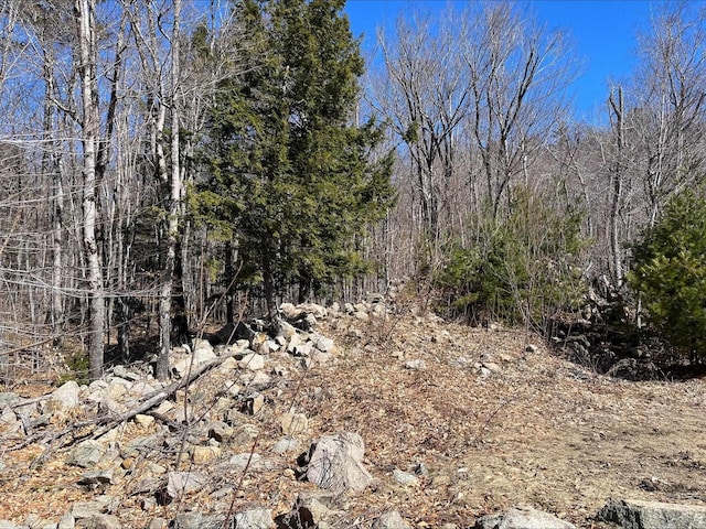 7 Beechwoods At Intervale Dr, Bartlett, NH 03812