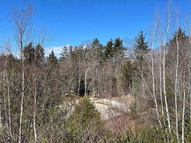 7 Beechwoods At Intervale Dr, Bartlett, NH 03812