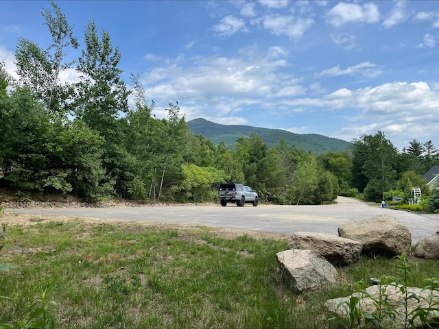 7 Beechwoods At Intervale Dr, Bartlett, NH 03812