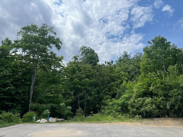 7 Beechwoods At Intervale Dr, Bartlett, NH 03812