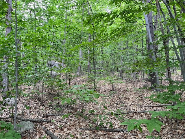 7 Beechwoods At Intervale Dr, Bartlett, NH 03812