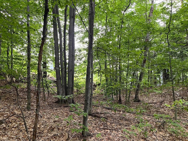 7 Beechwoods At Intervale Dr, Bartlett, NH 03812