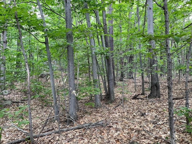 7 Beechwoods At Intervale Dr, Bartlett, NH 03812