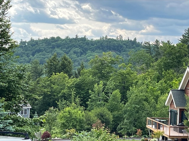 7 Beechwoods At Intervale Dr, Bartlett, NH 03812