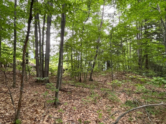 7 Beechwoods At Intervale Dr, Bartlett, NH 03812