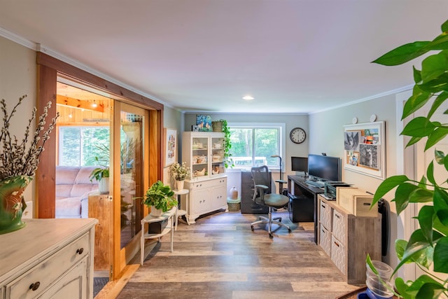 1307 Lime Kiln Rd, Haverhill, NH 03780 - home office with ornamental molding and light wood-style flooring