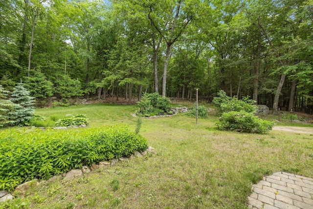 397 Strafford Rd, Strafford, NH 03844 - view of green lawn