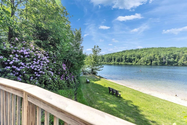 76 Cunningham Pond Rd, Peterborough, NH 03458 - water view with a forest