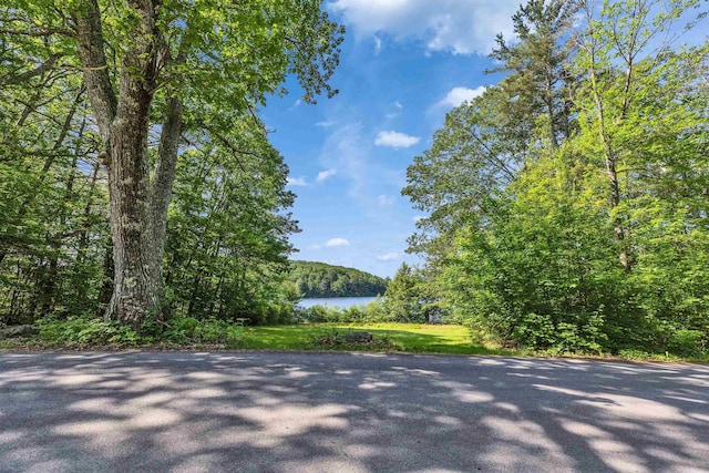 76 Cunningham Pond Rd, Peterborough, NH 03458 - view of asphalt street with a water view and a wooded view