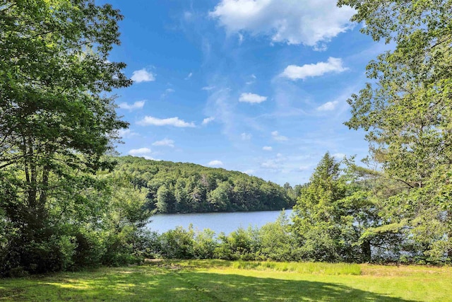 76 Cunningham Pond Rd, Peterborough, NH 03458 - water view featuring a heavily wooded area