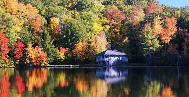 76 Cunningham Pond Rd, Peterborough, NH 03458 - water view featuring a forest