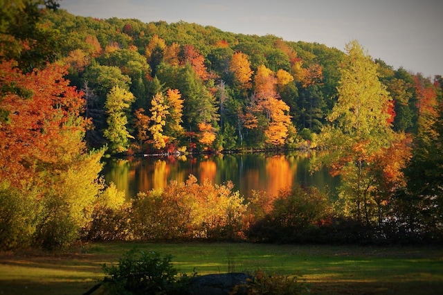 76 Cunningham Pond Rd, Peterborough, NH 03458 - water view with a heavily wooded area