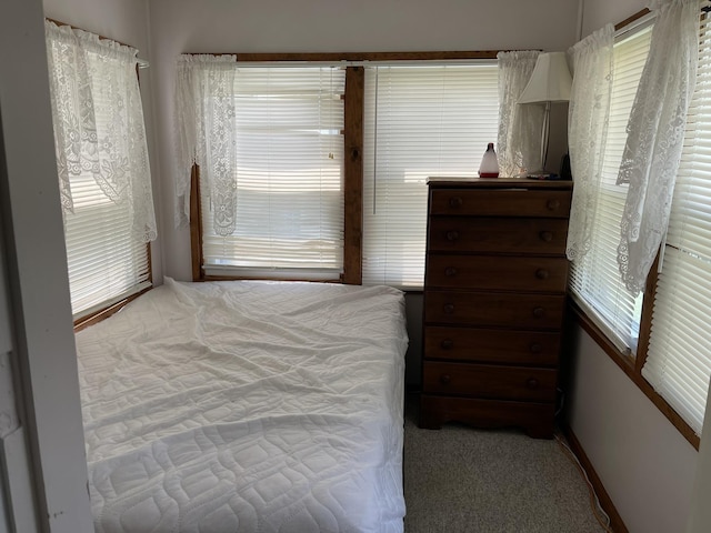 144 Lake St Unit 19, Laconia, NH 03246 - view of carpeted bedroom