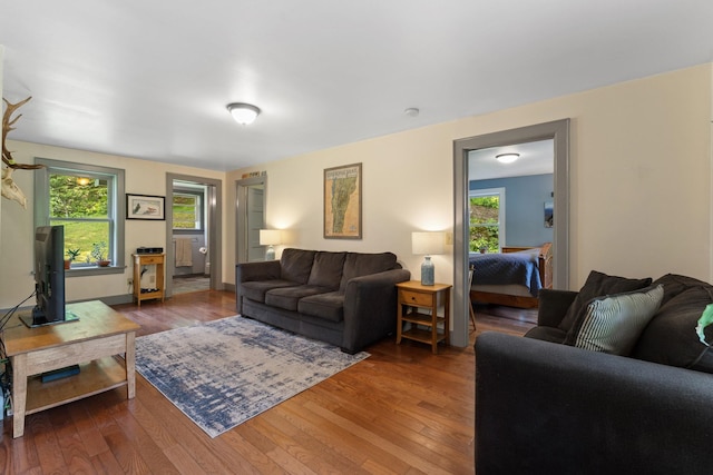 450 Ryan Rd, Duxbury, VT 05676 - living area with wood-type flooring