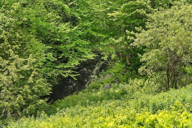 450 Ryan Rd, Duxbury, VT 05676 - view of nature