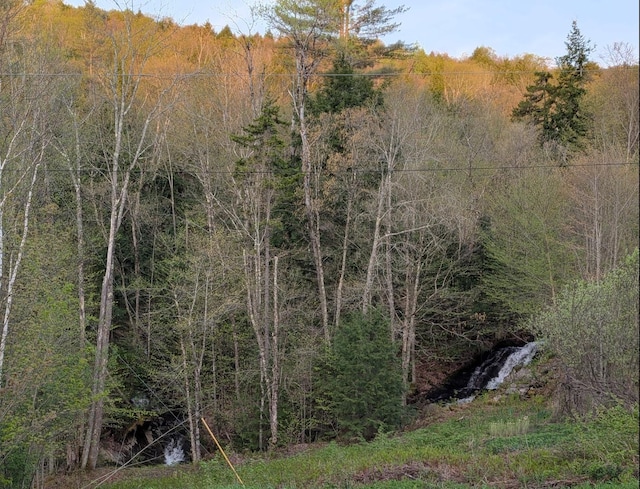 450 Ryan Rd, Duxbury, VT 05676 - view of wooded area