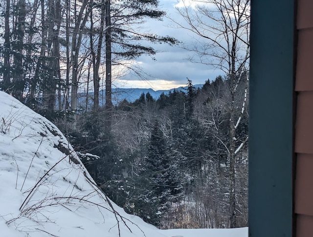 450 Ryan Rd, Duxbury, VT 05676 - mountain view with a forest
