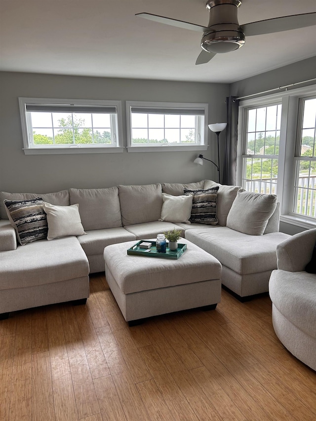 81 Cider St, Epping, NH 03042 - living area with ceiling fan and wood finished floors